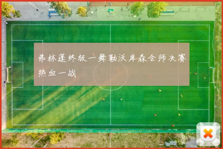 弗林蓬终极一舞勒沃库森会师决赛热血一战