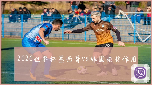 2026世界杯墨西哥vs韩国老将作用