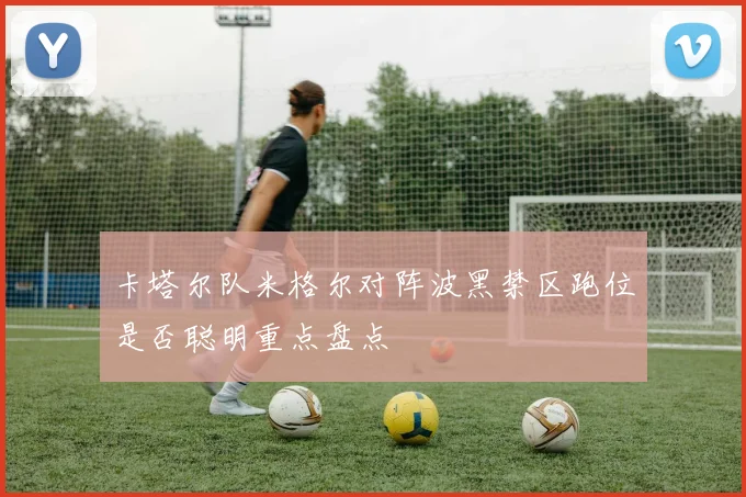 卡塔尔队米格尔对阵波黑禁区跑位是否聪明重点盘点