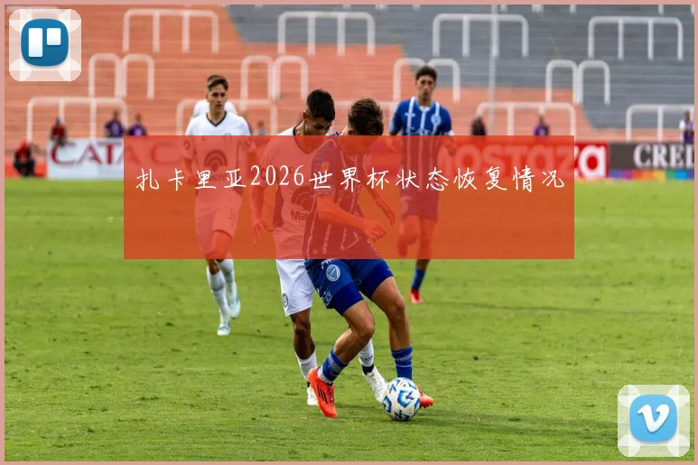 扎卡里亚2026世界杯状态恢复情况