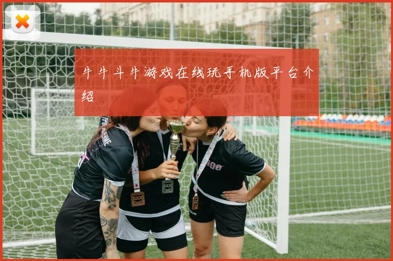 牛牛斗牛游戏在线玩手机版平台介绍